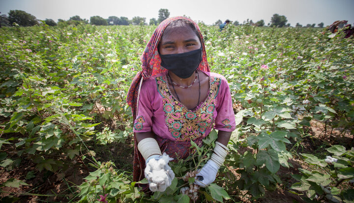 Cotton-farmer-in-CottonConnect-programme-in-Pakistan-resized